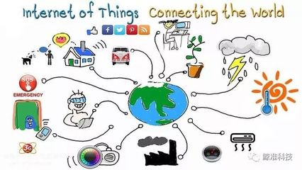 物聯網賦能生態保護 以科技之智，筑生態之暖