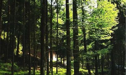 圖說巴中美景 | 林木蔥蘢清風爽，康養(yǎng)勝地天馬山